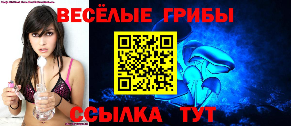 Галлюциногенные грибы мухоморы  Вход с VPN  Псилоцибиновые грибы Psilocybe  Сосновый Бор 